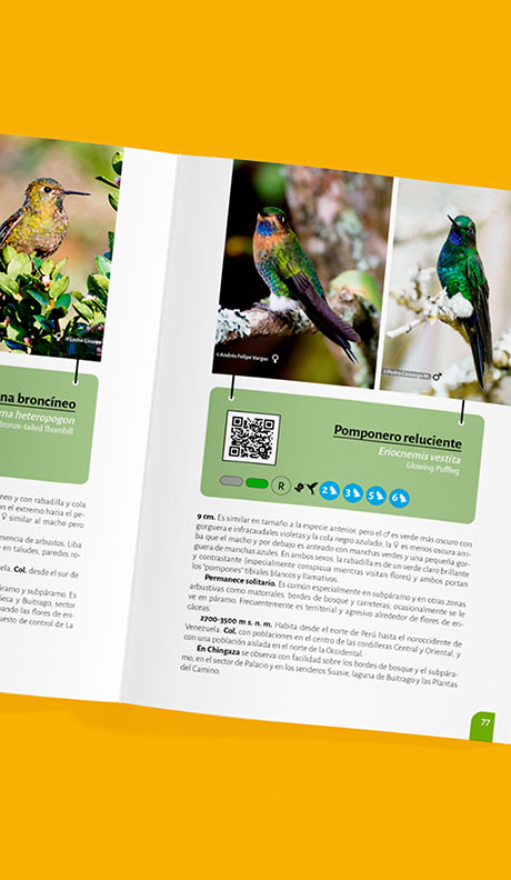 la-magia-de-las-aves-de-chingaza