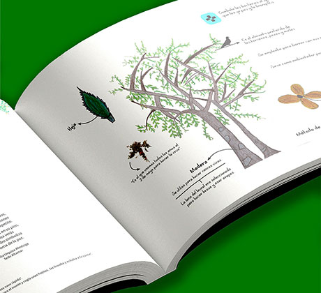 guia-de-plantas-nativas