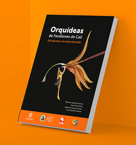 orquideas-de-farallones-de-cali