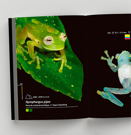 anfibios-y-reptiles-del-pnn-farallones-de-cali