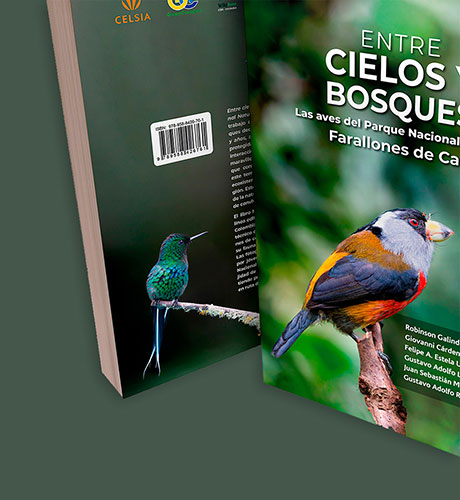 entre-cielos-y-bosques