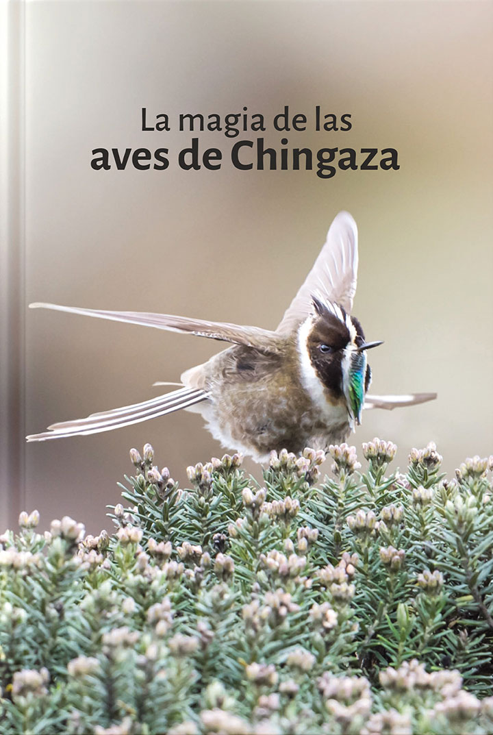 imagen-01