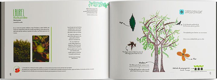 imagen-02