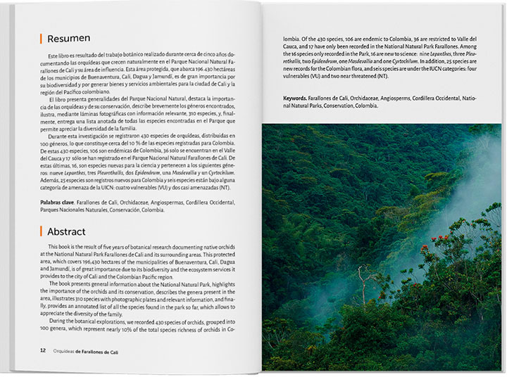 imagen-02