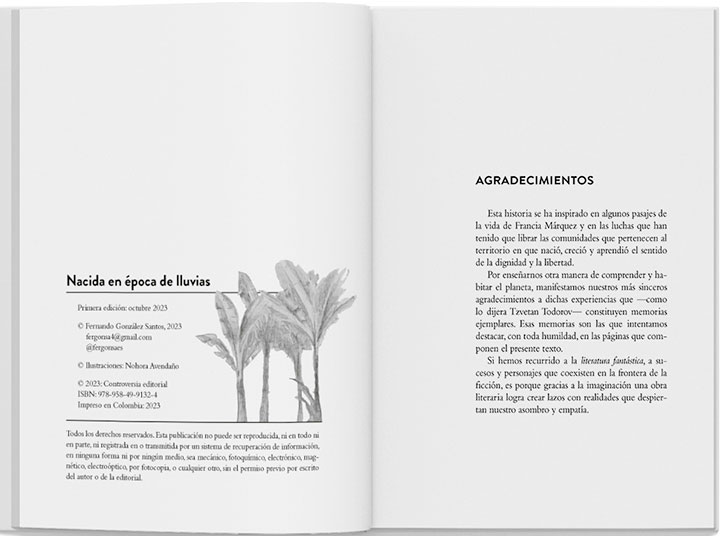 imagen-02