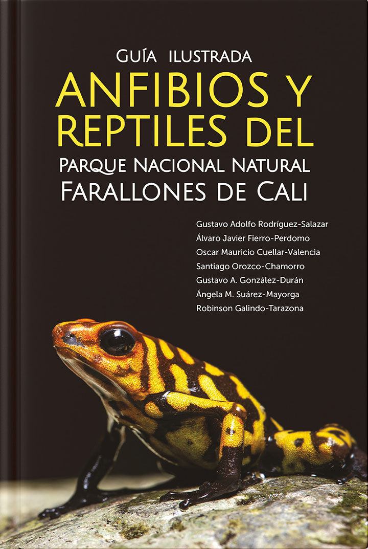 imagen-01