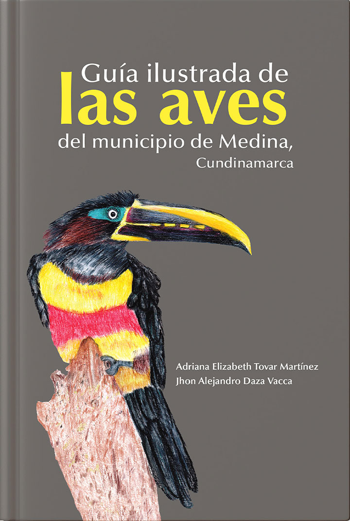 imagen-01