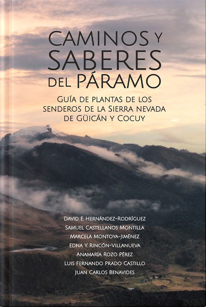 imagen-01