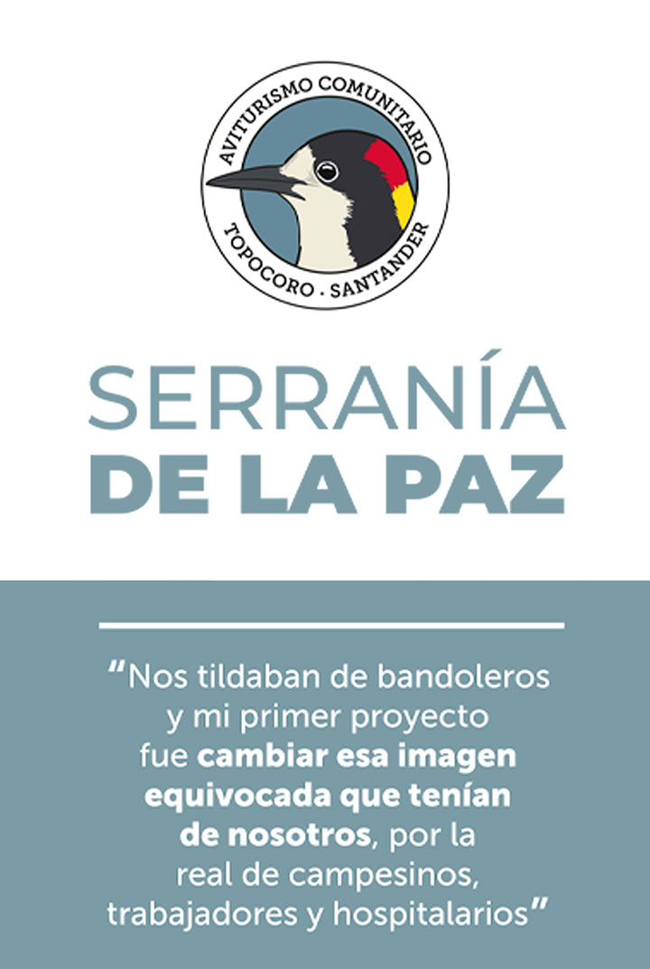 imagen-01