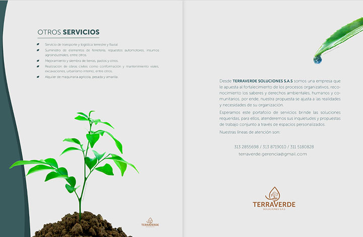imagen-02