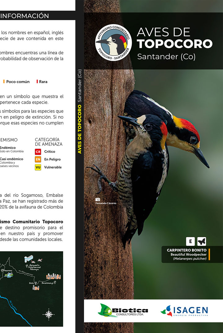 imagen-01