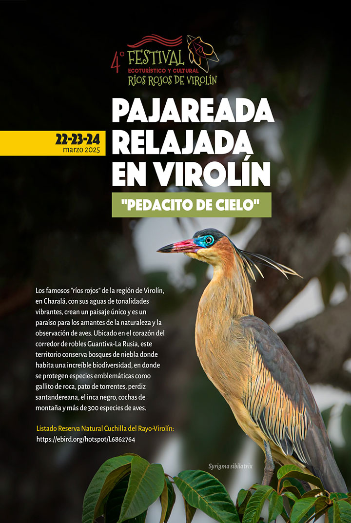 imagen-01