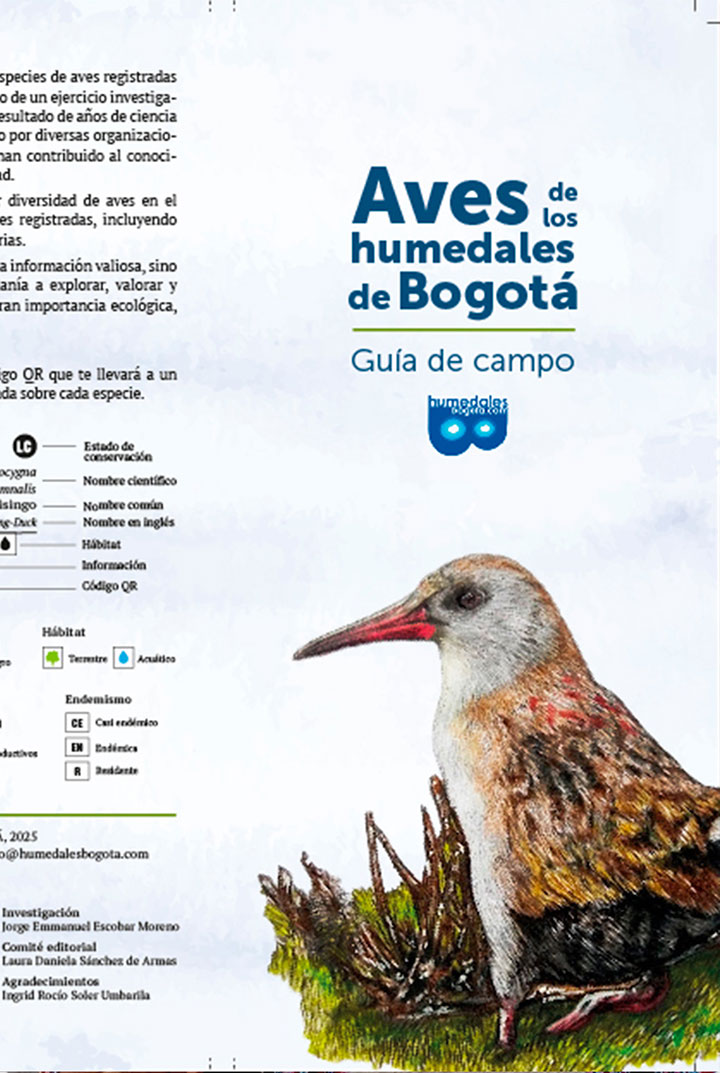 imagen-01